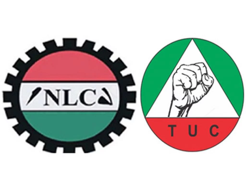 nlc-tuc-1-1024x796