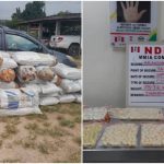 drugs-seizure-NDLEA