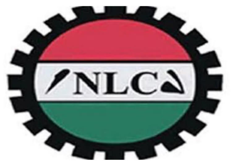 nlc-2-750x536