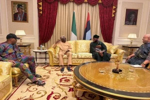 Adeleke Meets Tinubu (1)