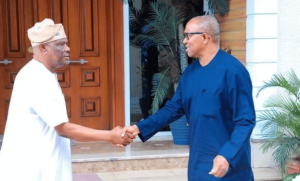 Peter-Obi-Meets-Wike