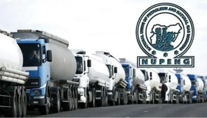 NUPENG-PTD-LOGO