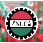 NLC-1000x600